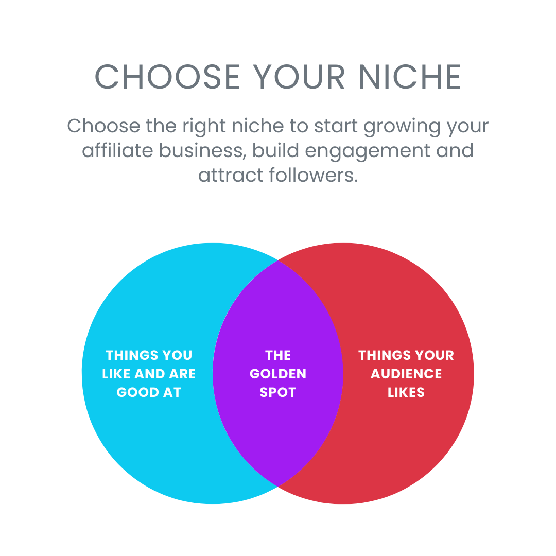 affiliate niche